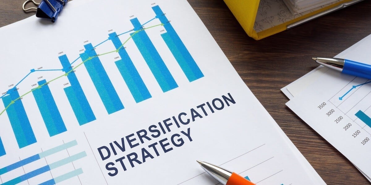 A document with graphs that says diversification strategy